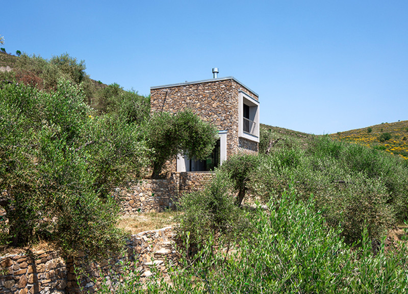 La casa tra gli ulivi. Video